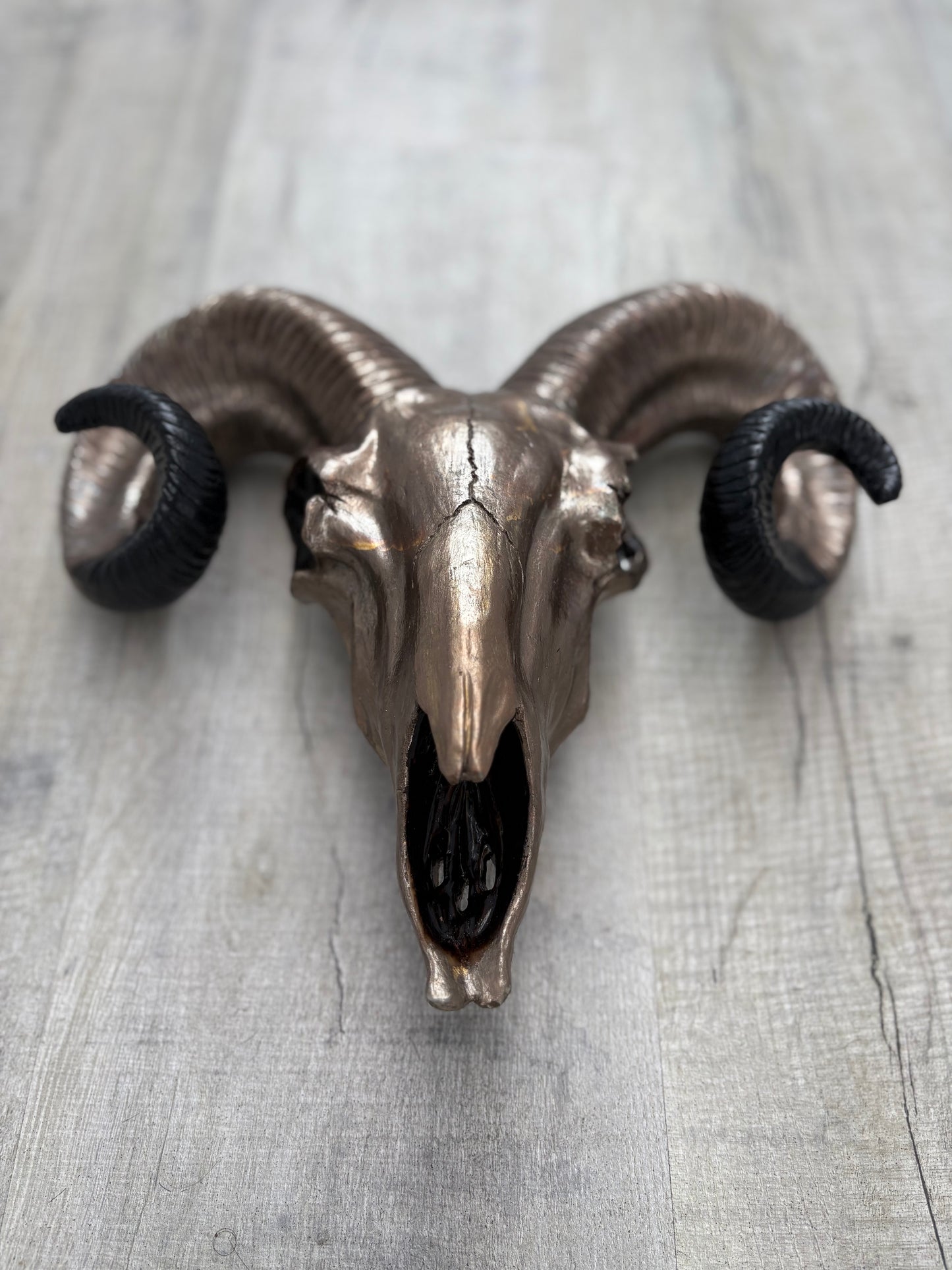 Hand painted & bronze leaf ornamental Rams head.