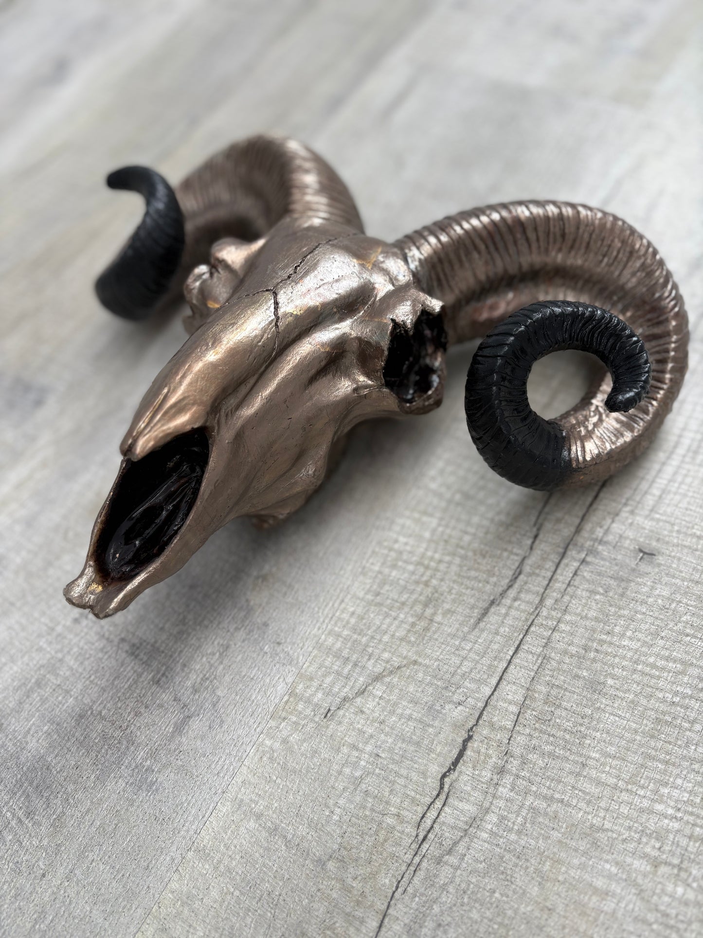 Hand painted & bronze leaf ornamental Rams head.