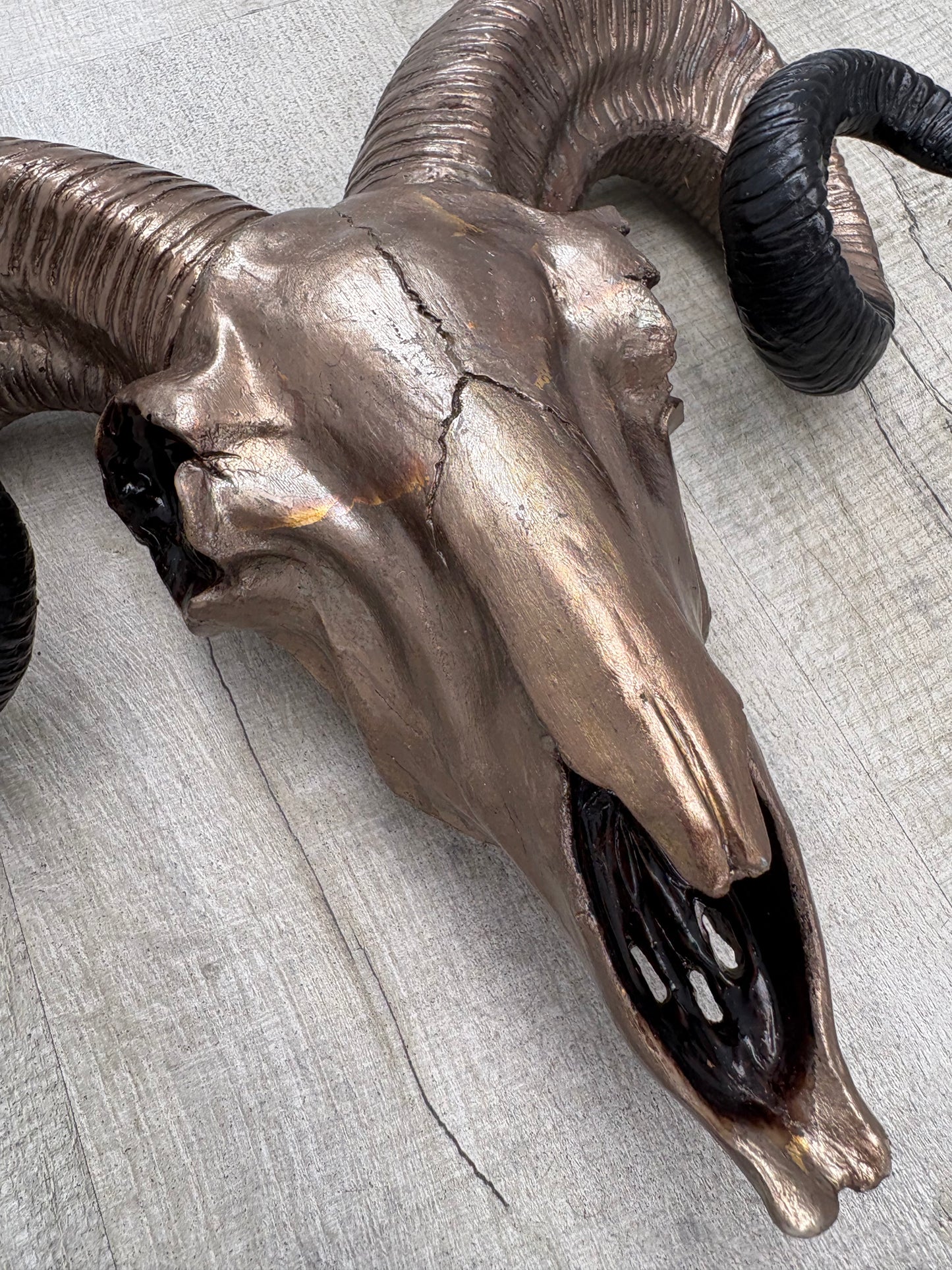 Hand painted & bronze leaf ornamental Rams head.